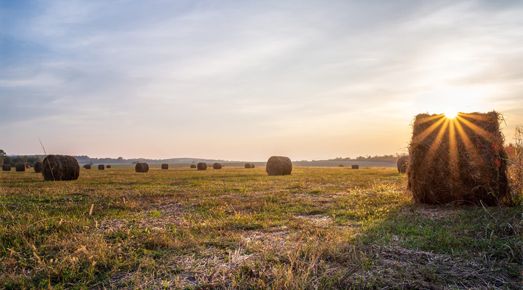 Contact 1 Sunrise over a hayfield in Oklahoma, illustrating potential for 1031 exchange